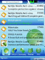 game pic for NetQin Security Download